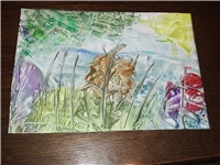 d5cbaab2-Picture 018.jpg